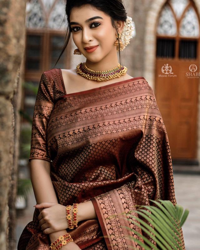 Susurrous Brown Soft Silk Saree With Ethnic Blouse Piece