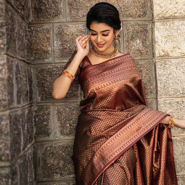 Susurrous Brown Soft Silk Saree With Ethnic Blouse Piece