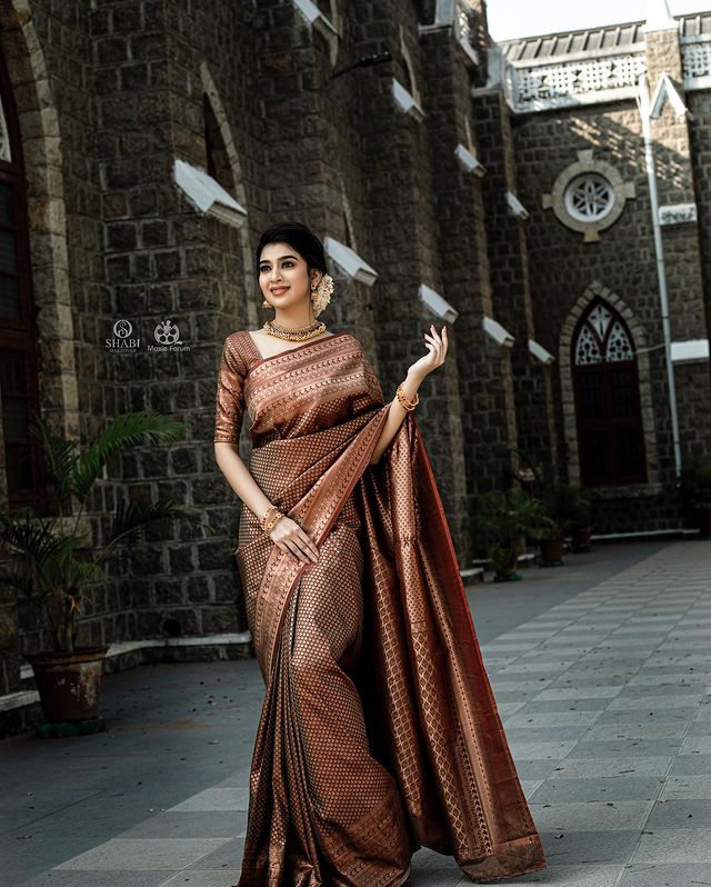 Susurrous Brown Soft Silk Saree With Ethnic Blouse Piece