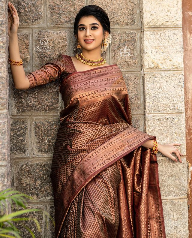 Susurrous Brown Soft Silk Saree With Ethnic Blouse Piece