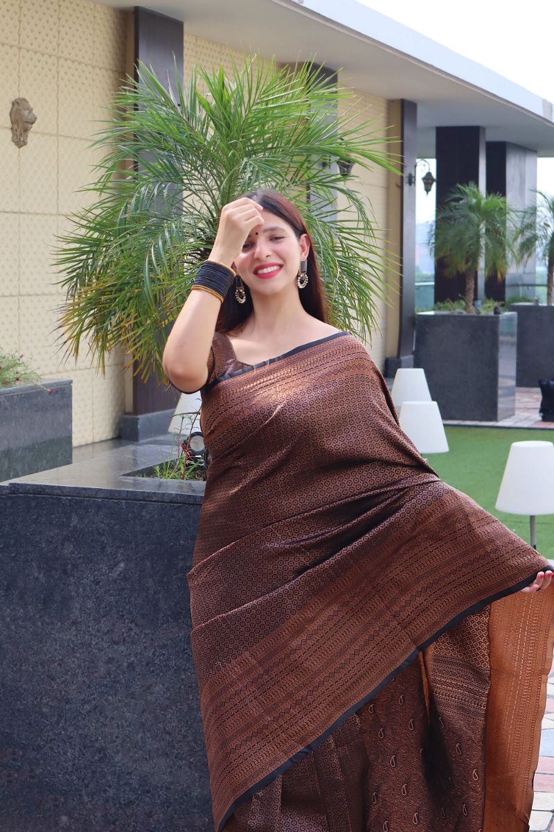 Beleaguer Brown Soft Silk Saree With Pretty Blouse Piece
