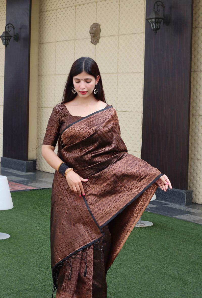 Beleaguer Brown Soft Silk Saree With Pretty Blouse Piece