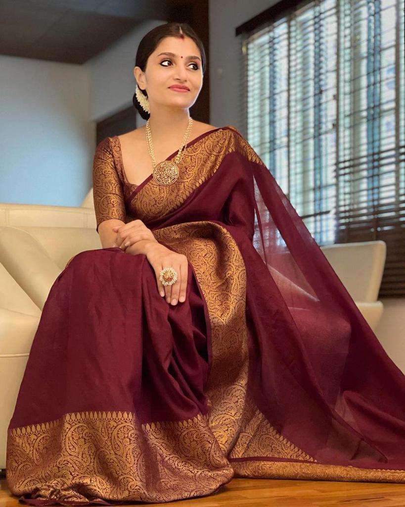 Handsome Wine Soft Silk Saree With Dapper Blouse Piece