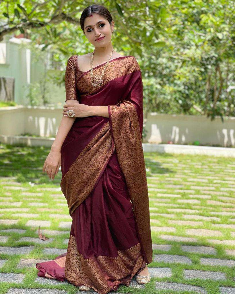 Handsome Wine Soft Silk Saree With Dapper Blouse Piece