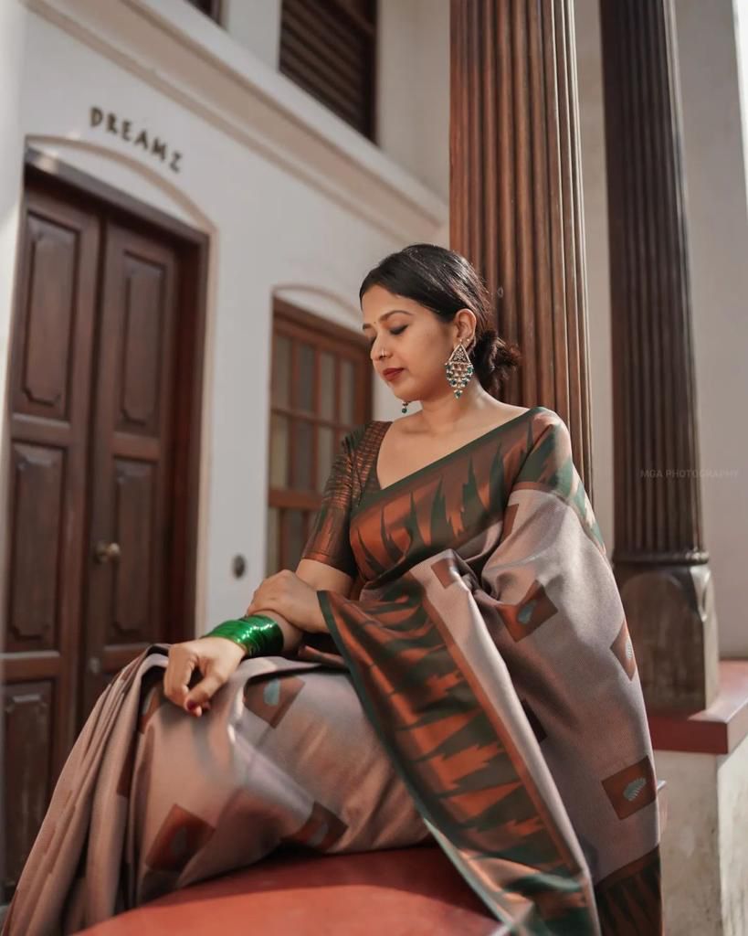 Winsome Grey Soft Silk Saree With Fantastic Blouse Piece