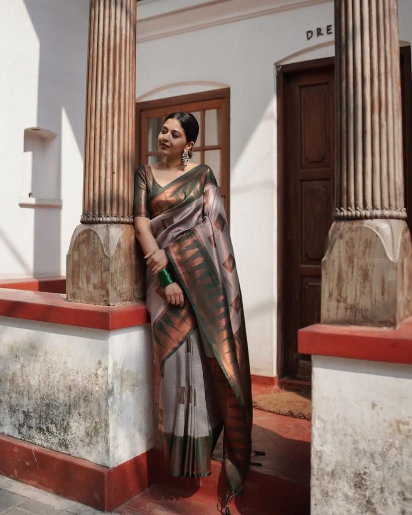 Winsome Grey Soft Silk Saree With Fantastic Blouse Piece