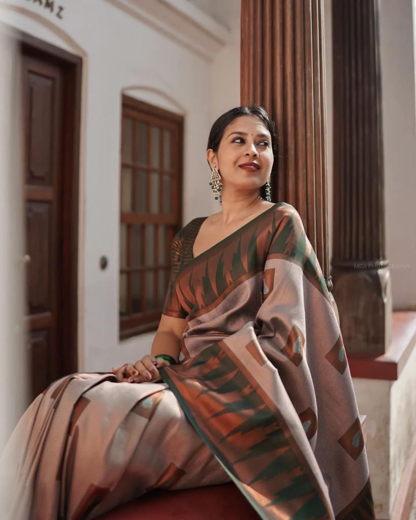 Winsome Grey Soft Silk Saree With Fantastic Blouse Piece