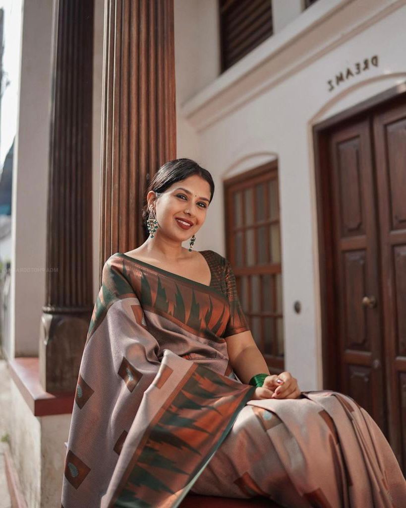 Winsome Grey Soft Silk Saree With Fantastic Blouse Piece