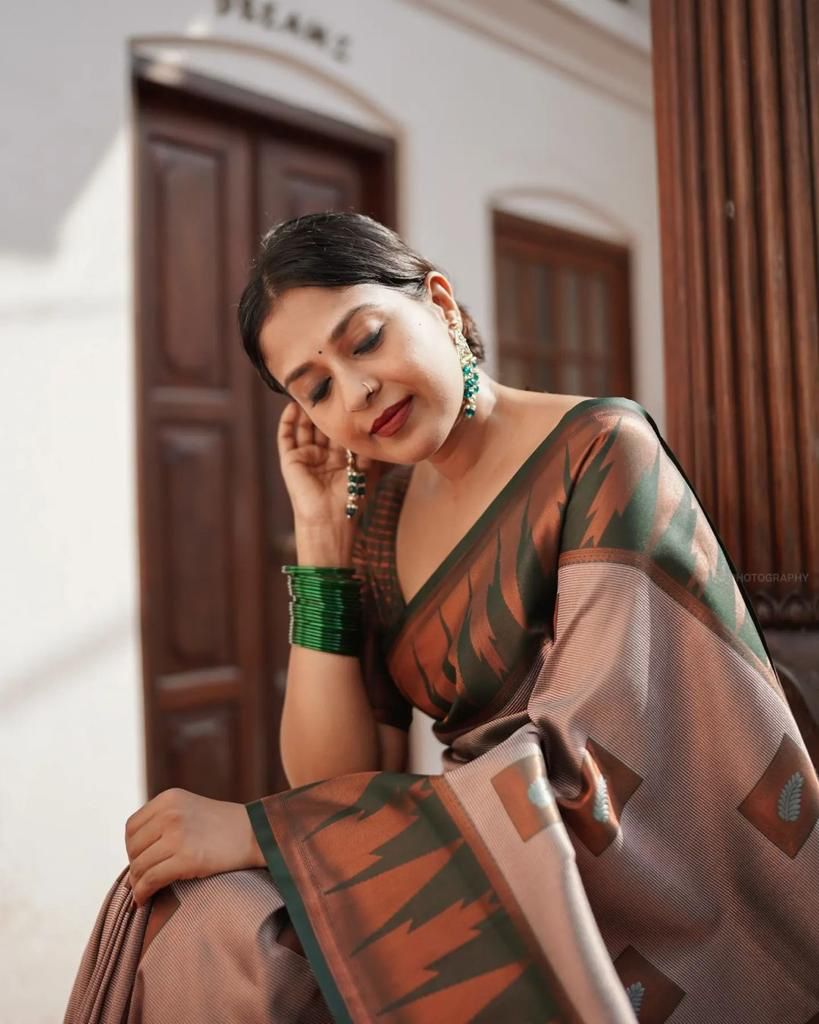 Winsome Grey Soft Silk Saree With Fantastic Blouse Piece