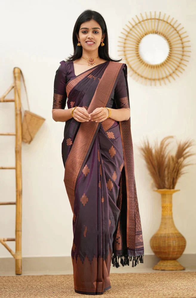 Enthralling Purple Soft Silk Saree With Vibrant Blouse Piece