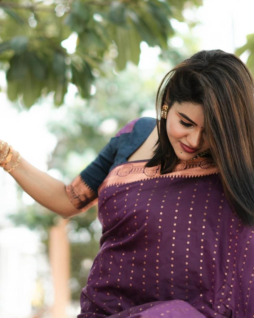 Hypnotic Purple Soft Silk Saree With Captivating Blouse Piece