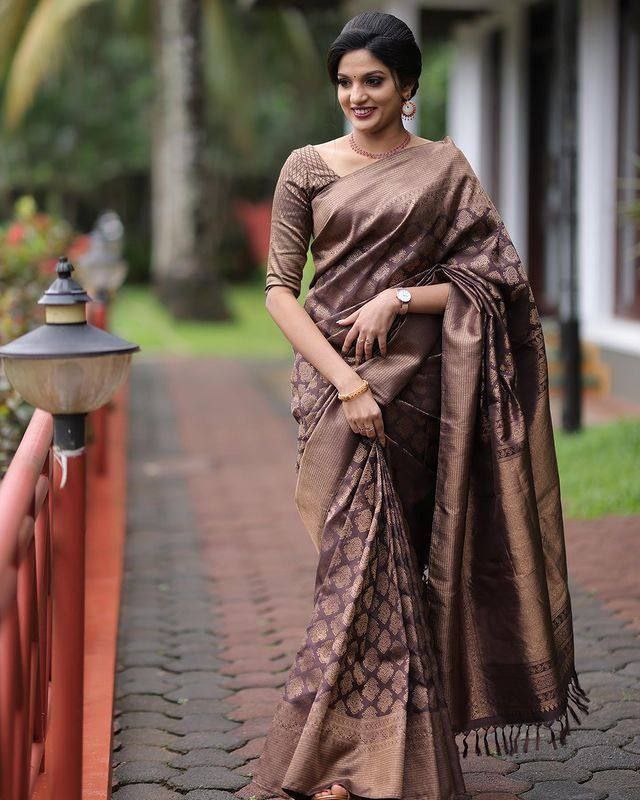 Enraptured Brown Soft Silk Saree With Seraphic Blouse Piece