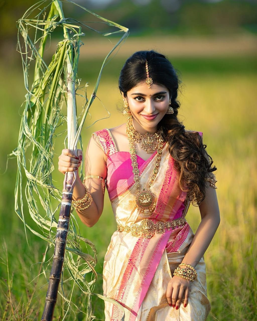 Profuse Beige Soft Silk Saree With Devastating Blouse Piece
